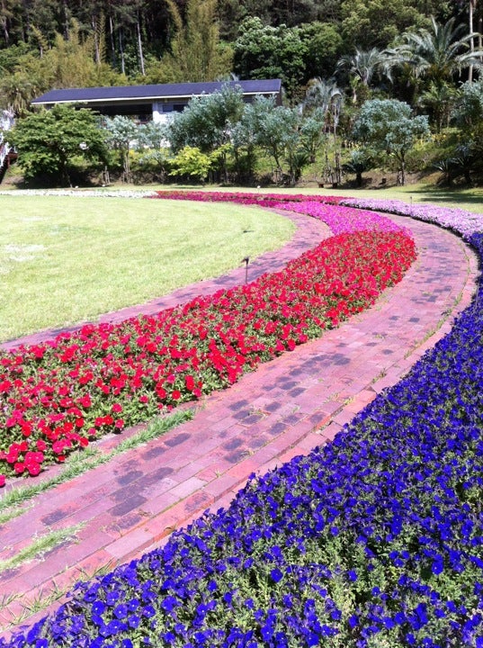 鹿兒島親子遊 想去室內或戶外都難不倒你 全家出遊鹿兒島景點推薦 Compathy Travel Magazine線上日本旅遊雜誌
