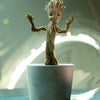 Groot 
