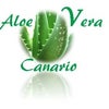 Aloe Vera Canario 