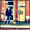 One Man & His Dog 