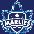 Toronto Marlies