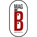 MAG-B magnetischer Brillenhalter