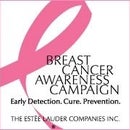 The Breast Cancer Awareness Campaign