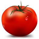 Tomate Albertini