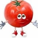 Tomato Ccm