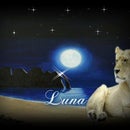 Luna Leona