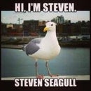 Steven Seagull