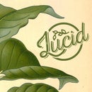 Lucid Coffee Bar