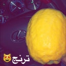 abdulaziz 555