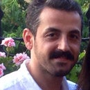Mehmet Seçkin Kaya