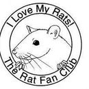 Russian Rat