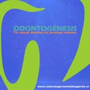 Odontogénesis Clínica Dental