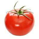 Tomato GOD