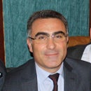 Mehmet Gürer