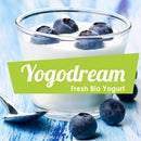 YogoDream Bio Joghurt Por