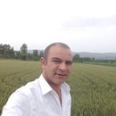 Mustafa Sezgin