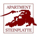 Apartment Steinplatte Tirol