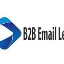 B2B Email Lead
