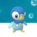 Piplup M