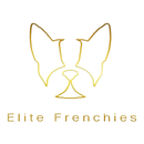Elite Frenchies