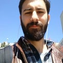 Ali Berkin Şahin