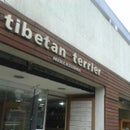 Tibetan Terrier boutique do couro click