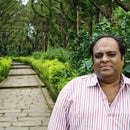 Ravi Prasad
