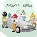 angara birds