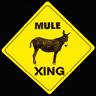 Lady Mule