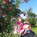 G and S Orchards