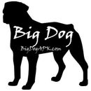 Big Dog