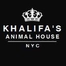 Khalifa&#39;s House