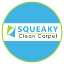 Squeaky Clean Carpet