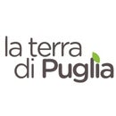 LaterradiPuglia Shop