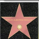 Aynur BOLLUK