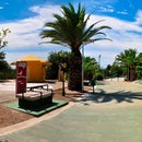 Campus Sostenible UM Universidad de Murcia