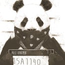 MR. Panda 🐼