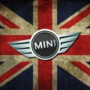 M S Mini