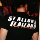 Stallone Italiano