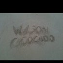 Wilson Choo