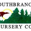 Southbranch Nursery