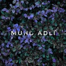 Muhd Adli