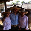 JORGE CHARRO CARRILLO