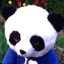 Buddy The 48west Panda