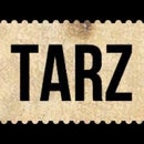 TarzMeselesi