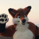 Leon @Doctor_Red_Fox