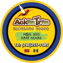 Ackee Tree Curry Culture