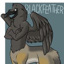 Blackfeather Tanfur