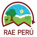 Cooperante RAE PERU