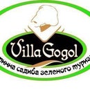 Villa Gogol